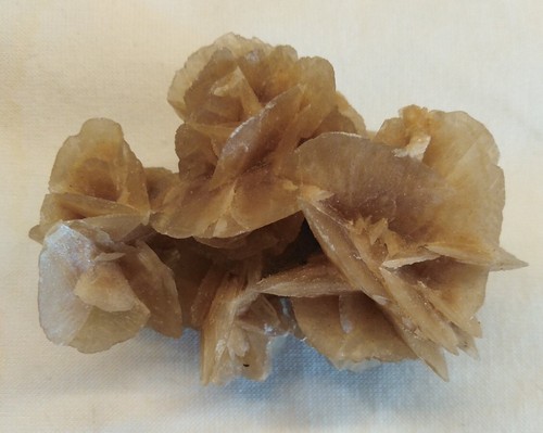 Minerali Fossili Conchiglie = 1 Pietra Pomice + 1 Rosa deserto - Foto 4 di 5
