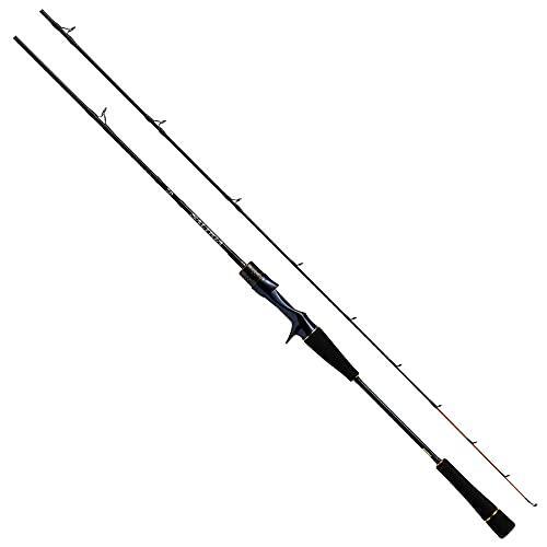 ソルティガ　SLJ 60MB-SMT Daiwa SALTIGA SLJ 60MB-SMT Baitcasting Rod | eBay