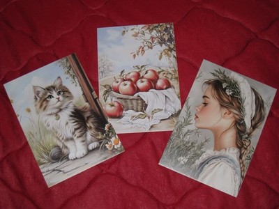Blanc-Karten 3er Set * Strahlende Tage auf dem Farm * Scrapbooking- oder Junk-J