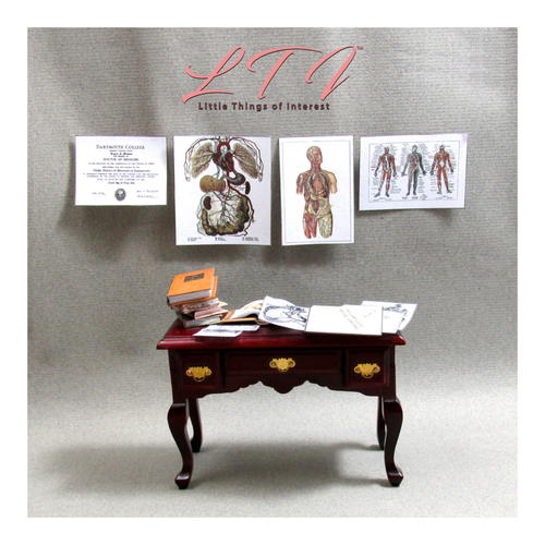 Miniature MEDICAL OFFICE DOCUMENTS 1:12 Scale DOCTOR NURSE ANATOMY 13 Pc - 第 3/8 張圖片