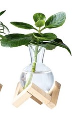 Propagation Vase w/Wooden Stand Plant Vase Bulb Unfinished Wood Brown New