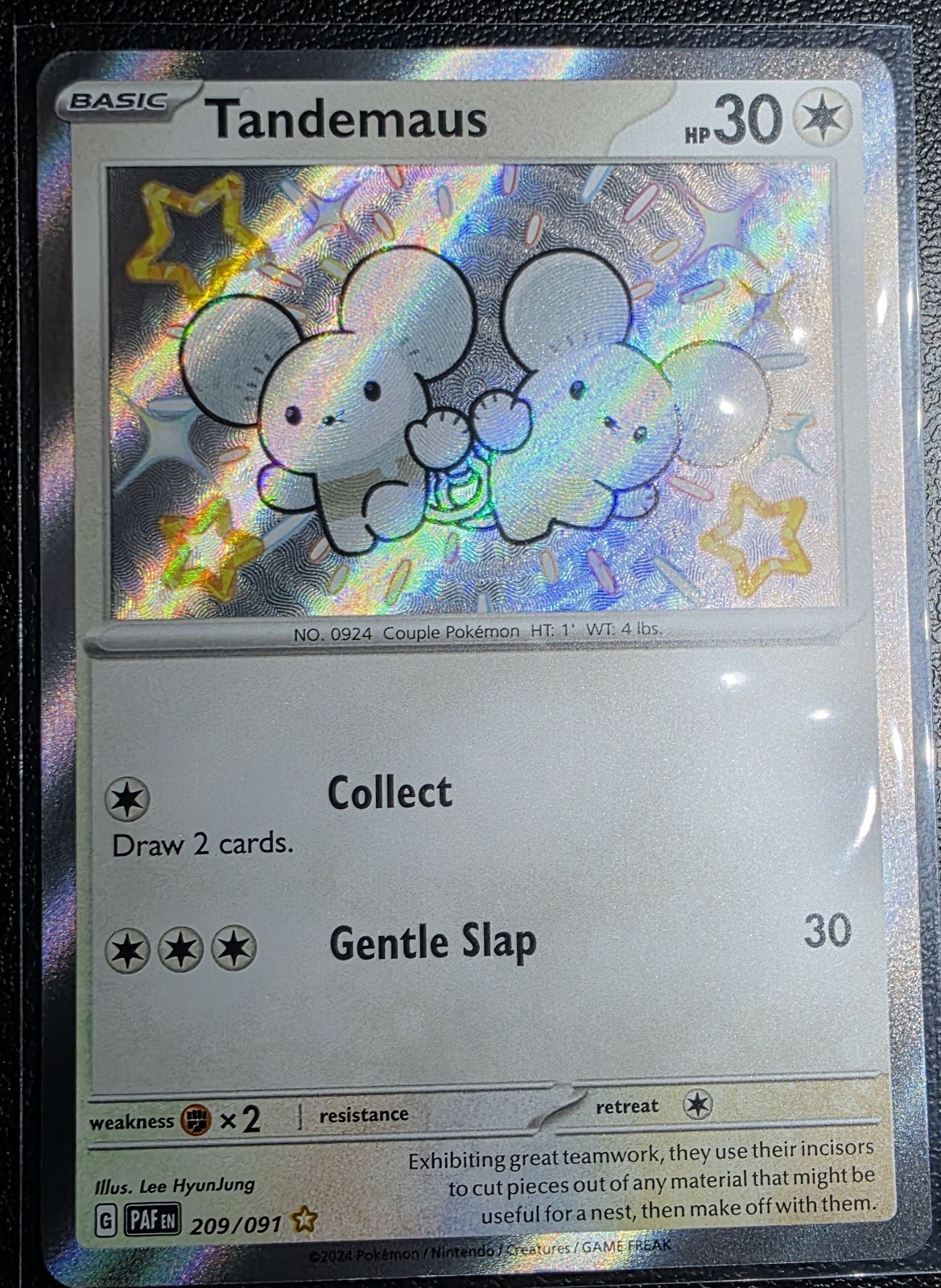 !!NM!! Tandemaus 209/091 SV: Paldean Fates Holo