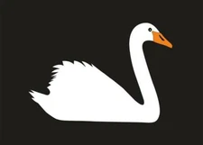 MiniWilla Not A Black Swan Poster Print 70 x 50cm Kid's Room Decor