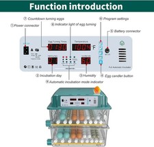 Incubateur, Couveuse, Incubator