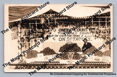 Oneida County Potato Exhibit RPPC Antique New York State Fair Photo ~1910s