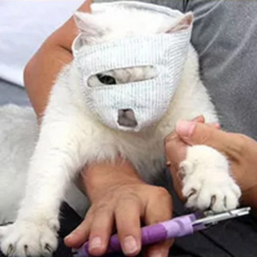 Pet Cat Muzzle Anti-Bite Protective Cover Eye Mask Mouth Cover Breathable Hood - Picture 6 of 14