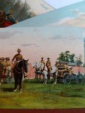 Lot of 4 Vintage Postcards. Calvary, horses, military training camp (N6)