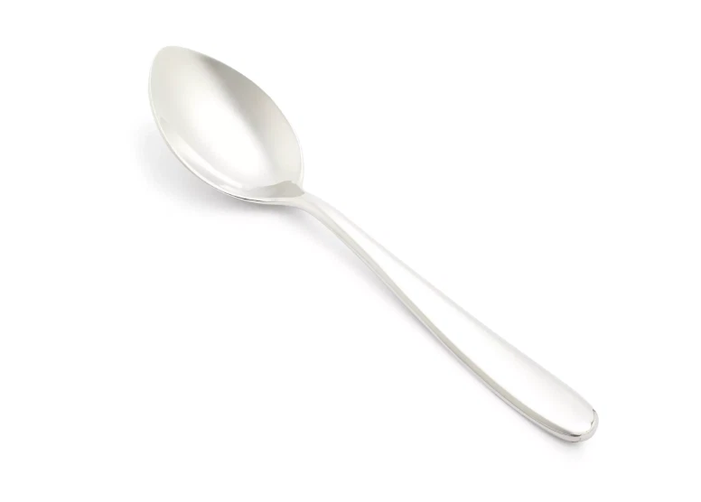 Fortessa Grand City Serving Spoon (2 PACK) - NEW