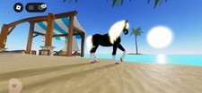 Moonstone Hair Black Tobiano Fri IUH Wild Horse Island
