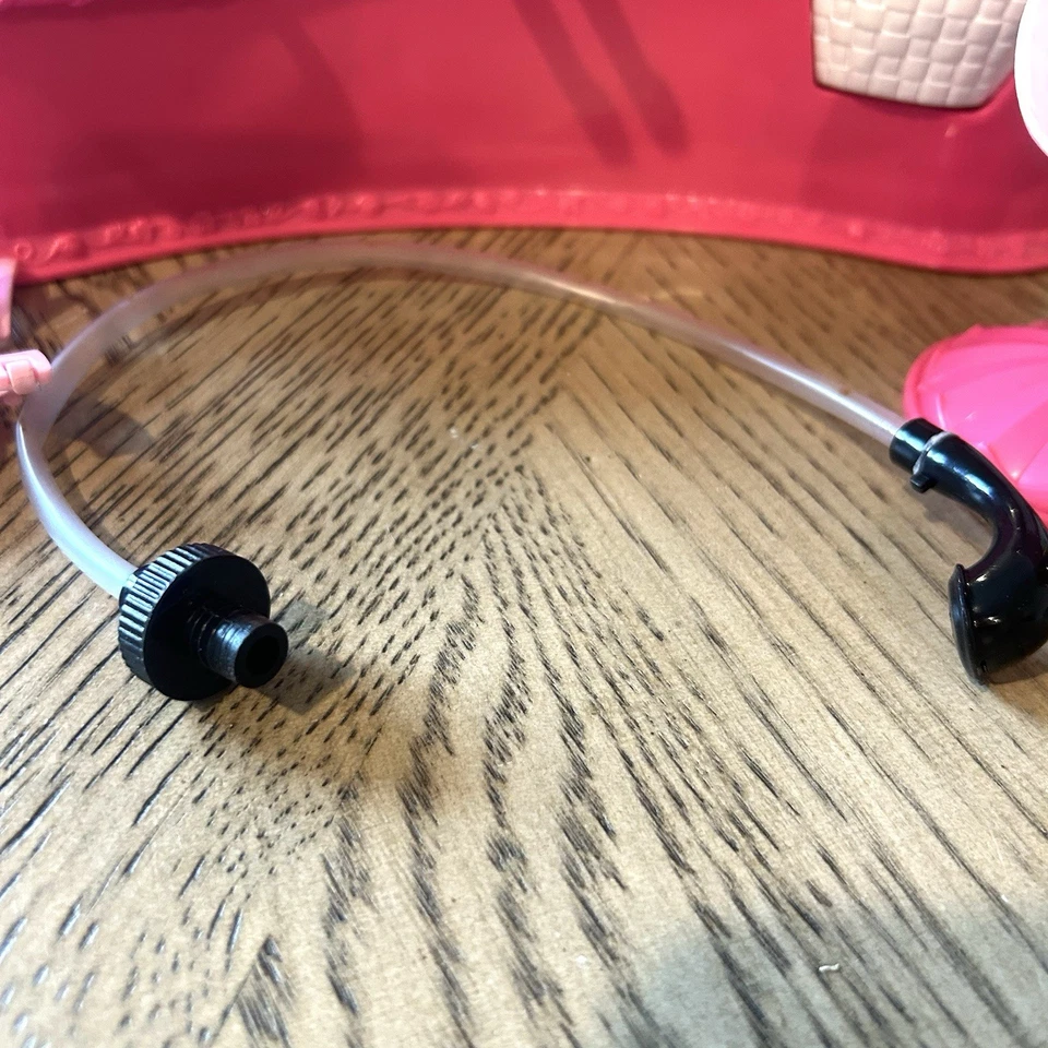 Juego de salón de belleza afrutado Strawberry Shortcake 2006 con accesorios Foto 4 de 4