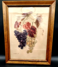 Vintage Framed Botanical Grapes Print Styled F.B. Mark of Quality Fleck Bros NYC