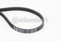 1X Continental Ctam 4PK1538 Keilrippenriemen FüR Renault Nissan Dacia