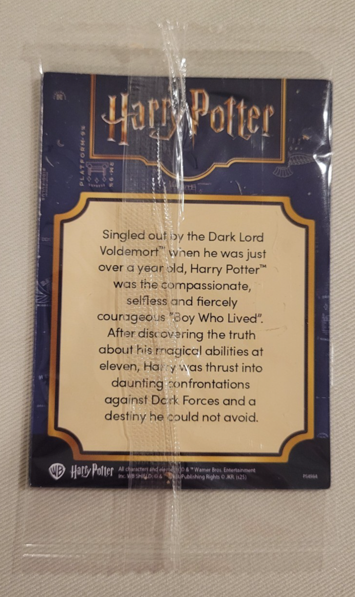 rare chocolate frog cards Harry Potter Wizarding World