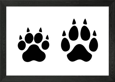 Footprints paws claws cat Framed Wall Art Poster Canvas Print Picture