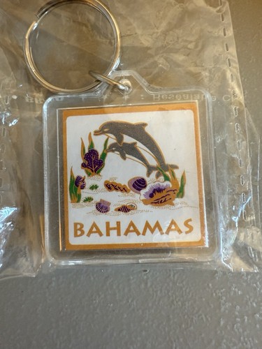 Menge 2 - "Bahamas" Acryl Quadrat Schlüsselanhänger - Delfine & Palmen - Bild 3 von 9