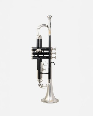 Bb Standard Trumpet BLACK CHROME Finish  Valves with Case and Mouthpiece..