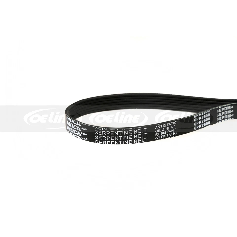 Cinturón Serpentine para Chevrolet GMC Ford Buick Oldsmobile Pontiac 6PK2600 Foto 3 de 4