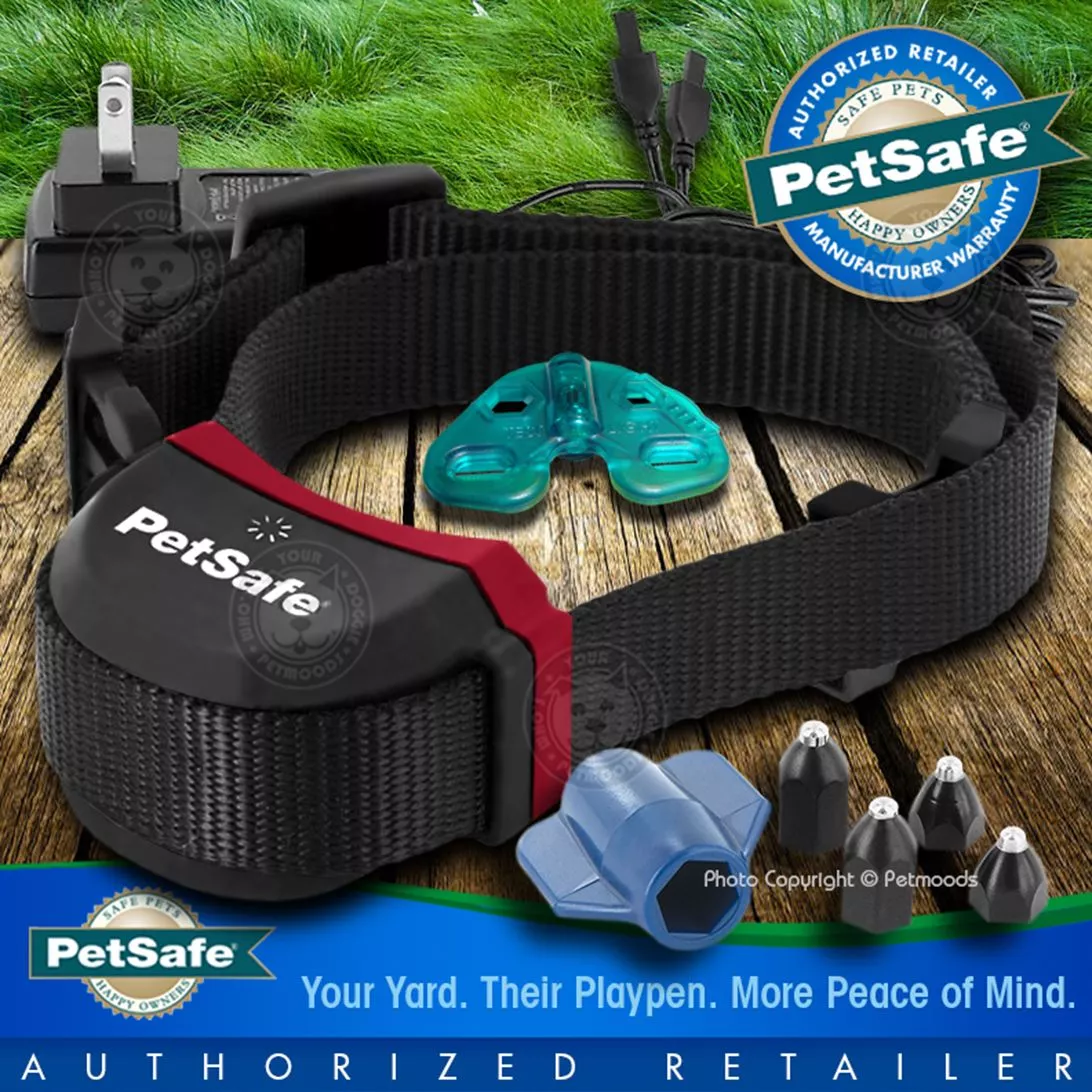 Stay and play dog cheap collar