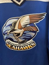 Southeastern Connecticut Seahawks Hockey Jersey #30 Stewart Men’s Size Large