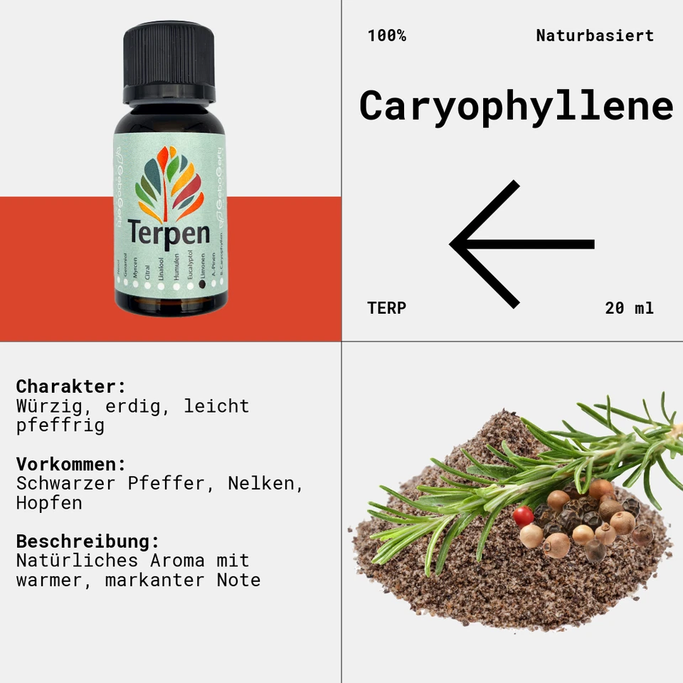 GEBO GEFTI HYDROPONICS Caryophyllene 20ml | Reines Terpen