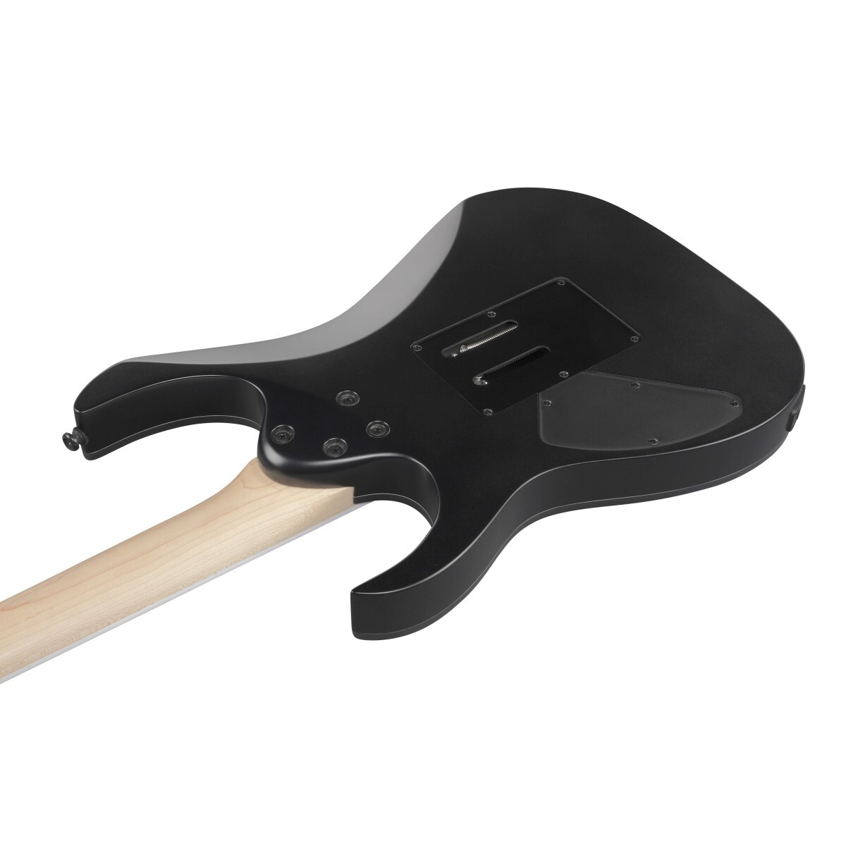 Ibanez RG420EX-BKF Black Flat Electric Guitar w/Gig bag from JAPAN