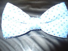 USED Bow Tie - Cloudy Enchantment B576