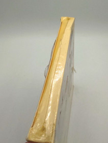 WolfChild Sega Saturn Factory Sealed Box Complete 1992 Video Game Action!