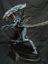 520354_7