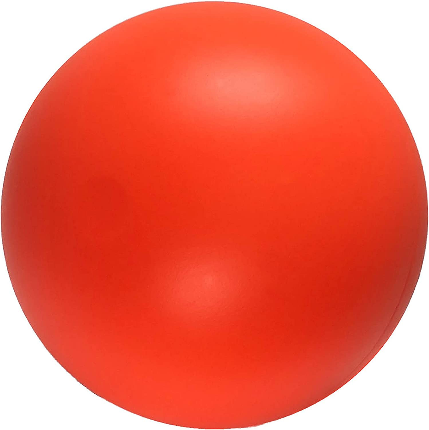 Virtually Indestructible Best Ball for Dogs, 6-Inch,Colors May Vary