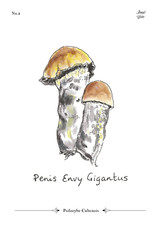 Pe Gigantus Collection card