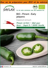 SAFLAX Jardin dans le sac - BIO - Piment  - Early jalapeno - 20 graines - Capsic