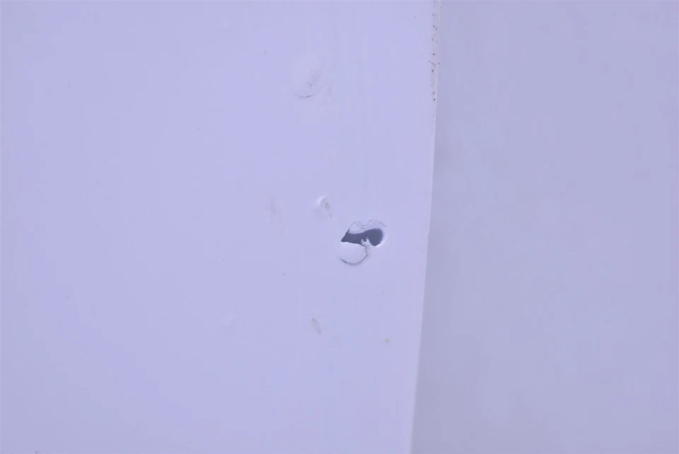 Honda S2000 2000-2009 puerta pasajero derecha derecha 00-09 Foto 4 de 4