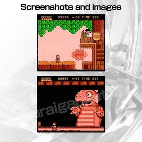 Super Mario USA (Bros. 2) & Donald Land Nintendo Famicom / FC [Japanisches NES]