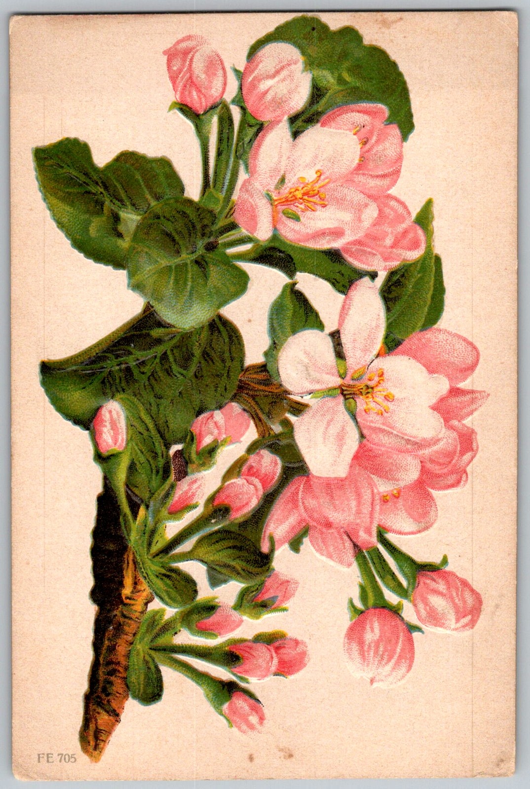 Antique Postcard Pink Apple Blossoms 1910s