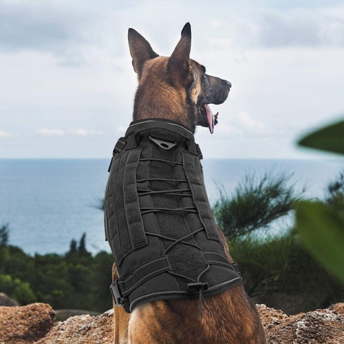Tactical Dog Harness No Pull Adjustable Pet Military Working Training Molle Vest - Picture 10 of 16