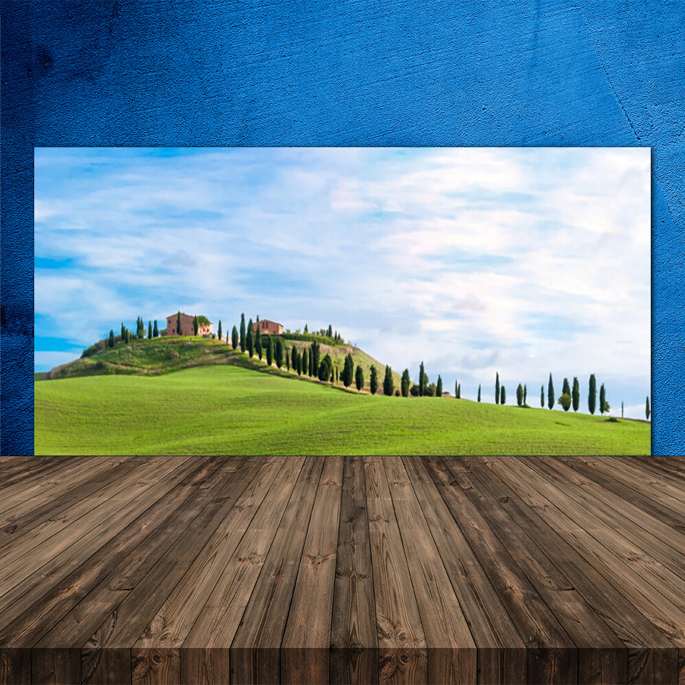 Crédence de cuisine en verre 120x60 fond de hotte panoramique arbres et prairie