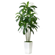 Artificial Dracaena Tree Artificial Silk Tree Faux Tree with White Tall Planter 