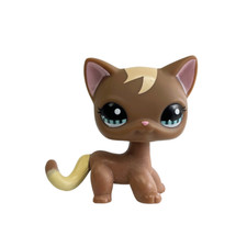 Littlest pet shop Toys bobble head short hair cat #1170 brown cat blue eyes