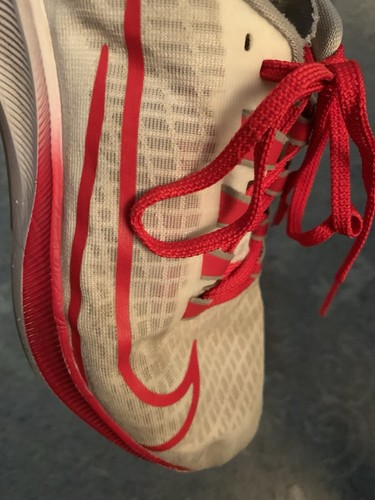NIKE TEAM ISSUED AIR ZOOM PEGASUS 37 OHIO STATE BUCKEYES PE RUNNING SHOES - Picture 9 of 12