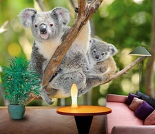 3D Koala Baby O273 Animal Wallpaper Wall Murals Removable Wallpaper Fay