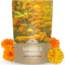 Marigold French Petite 2 Ounce Pouch 15000 Flower Seeds For Planting Tagetes 244.00 per gallon