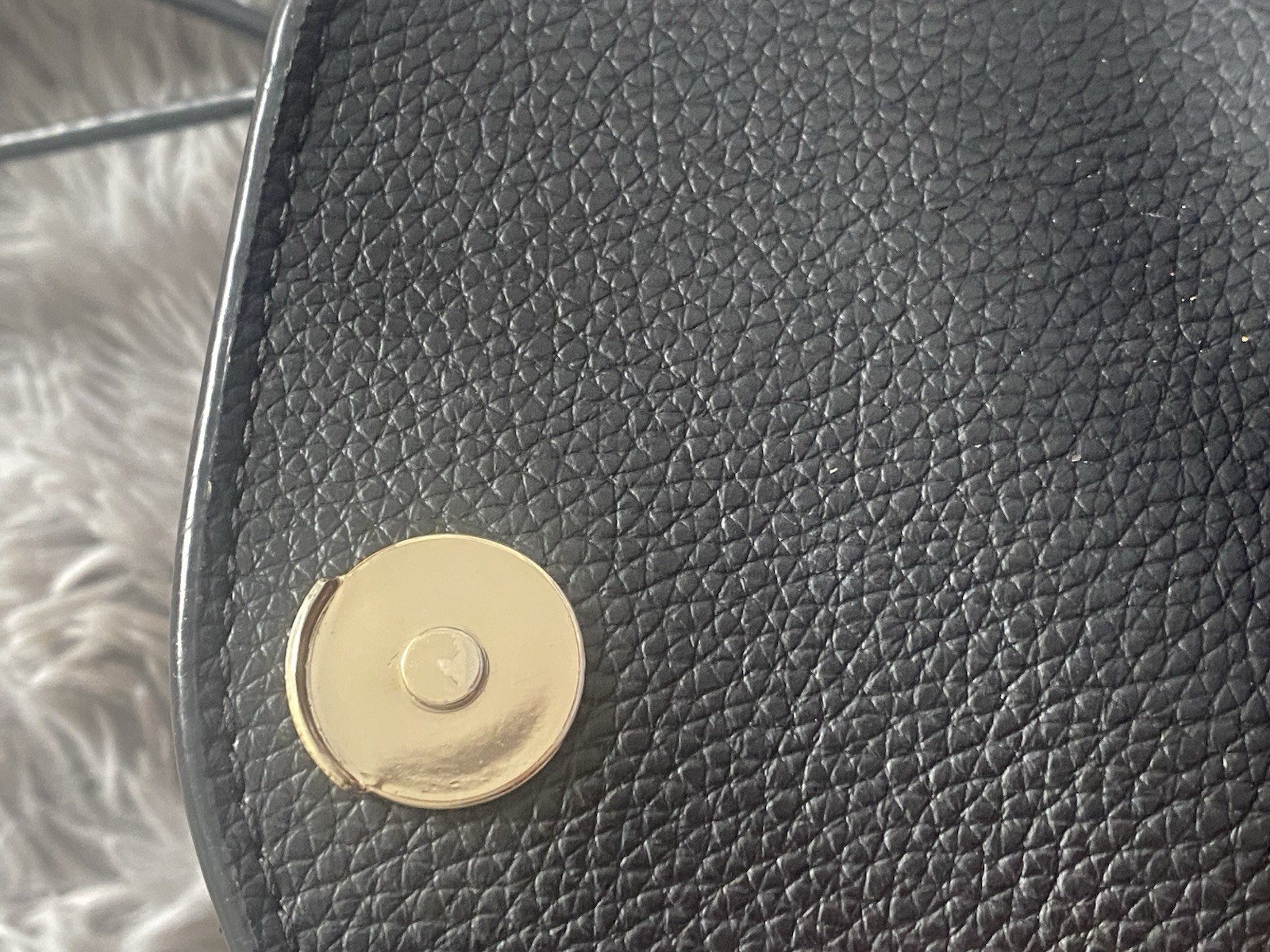 Picture 5 of 5