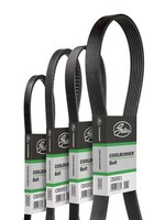 NEU - Gates CB0063 Keilriemen