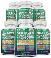 6 x Dynamic Vitality Bundle - Sea Moss Multivitamin & Shilajit Power Combo USA