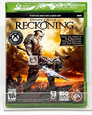 Kingdoms of Amalur　Reckoning Kingdoms of Amalur: Re-Reckoning - Fatesworn for Nintendo