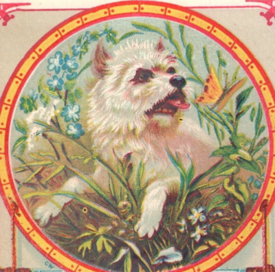 1860s-80s Reward Of Merit Cards Cute Dogs Horses Lot Of 12 F123