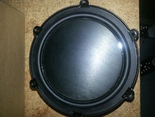 6 inch stainless steel woofer by soundmatters. The one for the SUBstage100