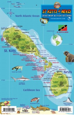 St. Kitts & Nevis Dive Map Reef Creatures Guide Laminated Fish Card Franko Maps