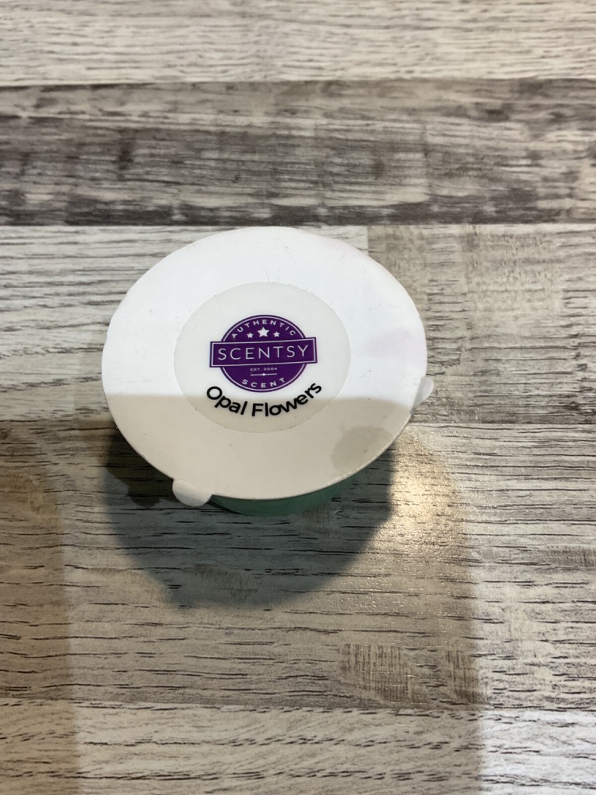 SCENTSY Glitter Gold Mini Plug In Wax Wall Warmer & Melts USED ONCE