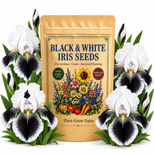 35 Black & White Iris Seeds - Garden Flowers for Home Planting Pollinator Beds